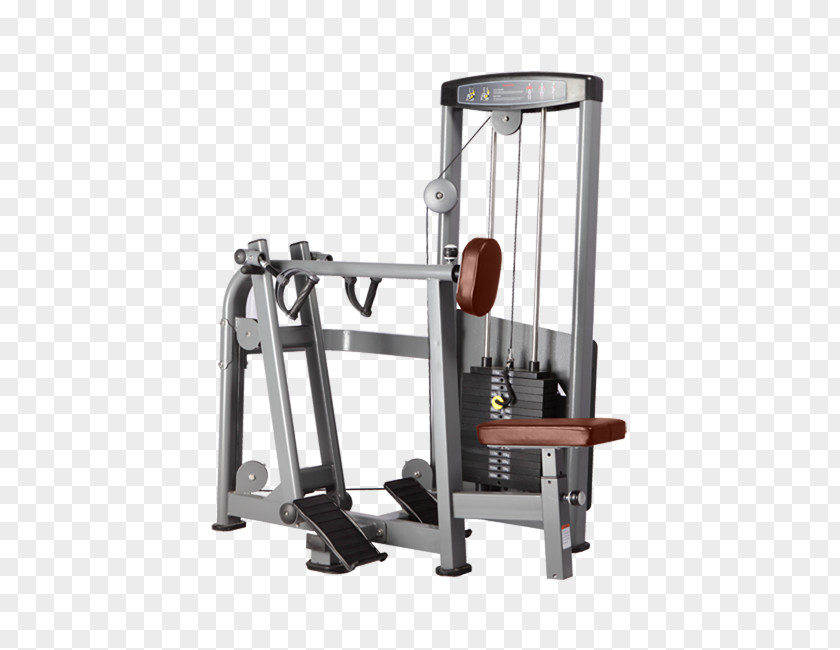 Exercise Machine Row Fitness Centre Muscle PNG