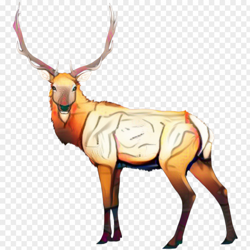 Fawn Kudu Reindeer Cartoon PNG