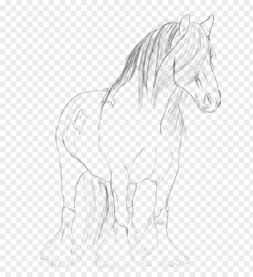 Gypsy Horse Mane Pony Cob Sketch PNG