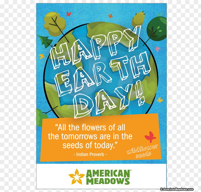 Half Off Packets Per Full Discount Seed Ball Flower Garden Earth Day PNG