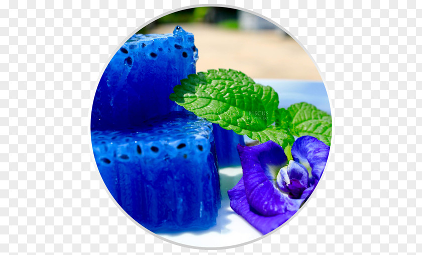 Jellyfish Butterfly Pea Flower Tea Cocktail Blue Asian Pigeonwings PNG