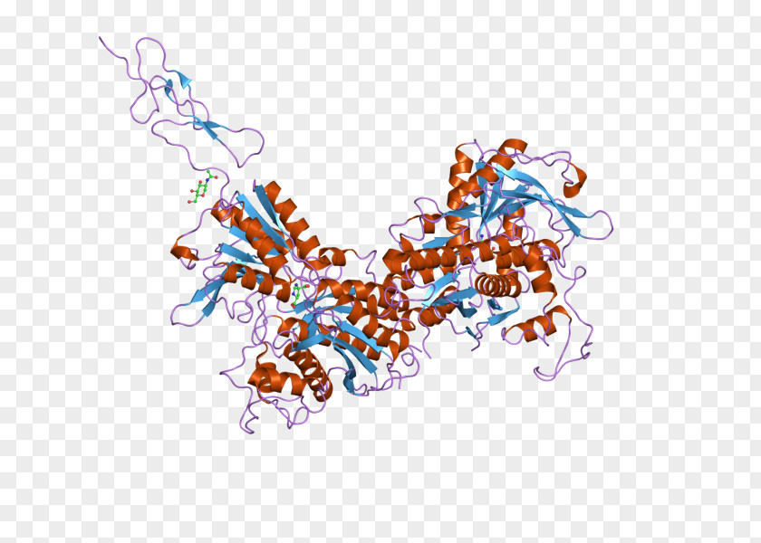 Metabotropic Glutamate Receptor 3 PNG