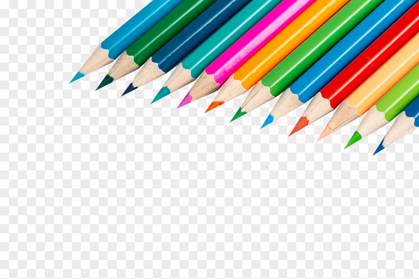 Multicolored Pencil Colored Paintbrush PNG