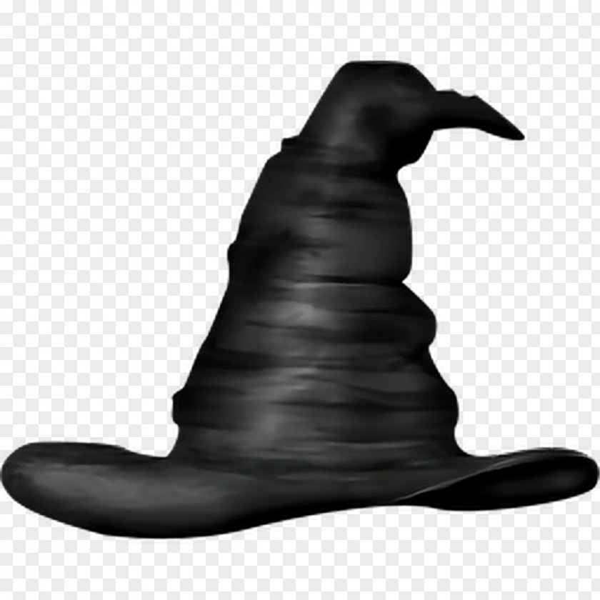 Wizard Witchcraft Witch Hat Magician PNG