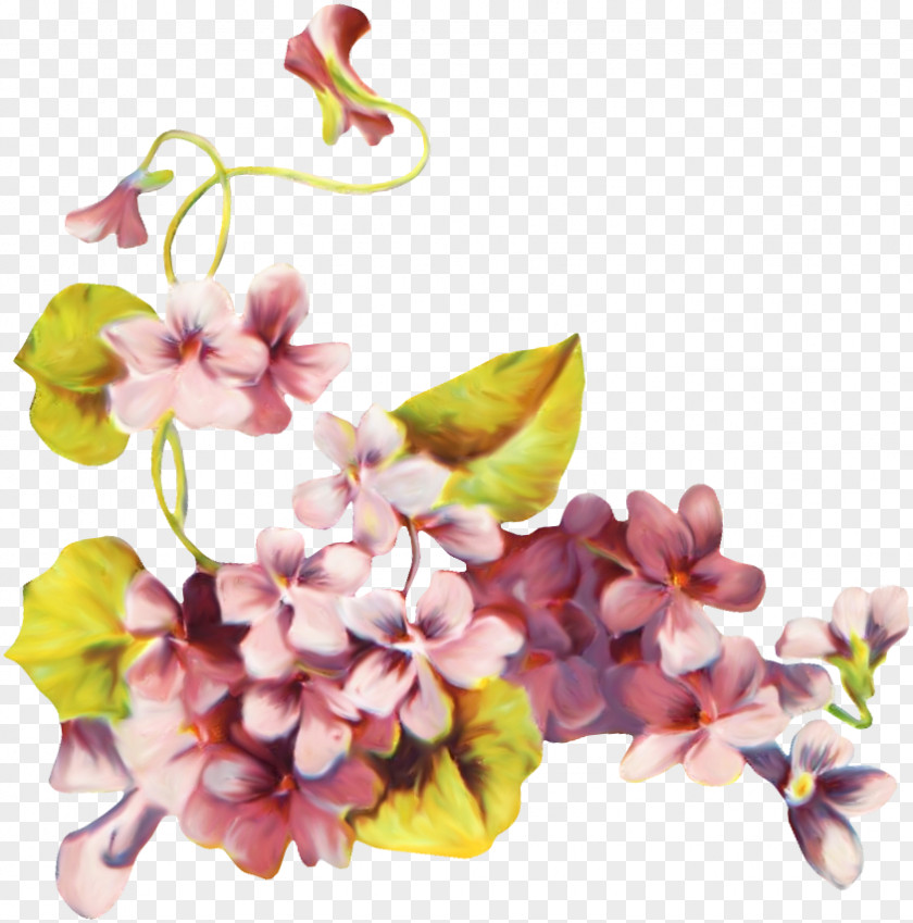 Flower Clip Art PNG