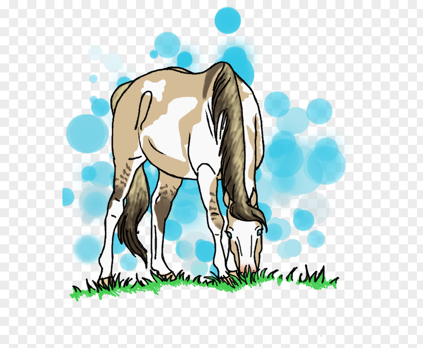 Grazing Foal Pony Mustang Stallion Colt PNG