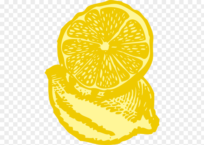 Lemon Green Juice Clip Art PNG