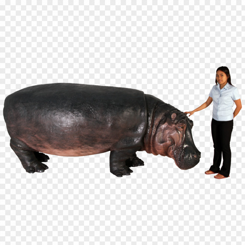 Pig Hippopotamus Terrestrial Animal Snout PNG