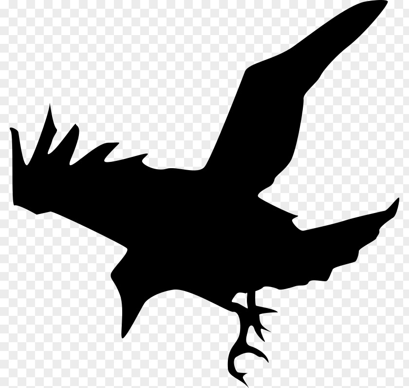 Silhouette Common Raven Clip Art PNG