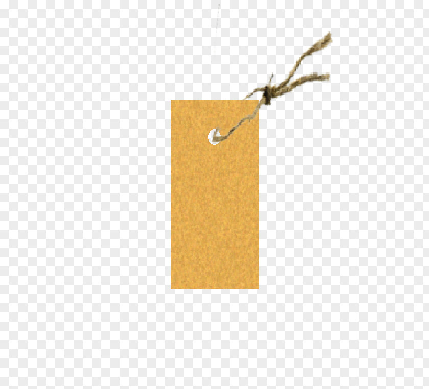 Tag With Twine Paper Rectangle PNG