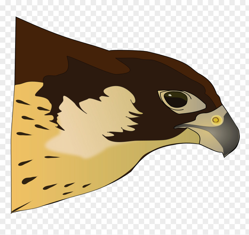 Tomahawk Clipart Bird Of Prey Hawk Clip Art PNG