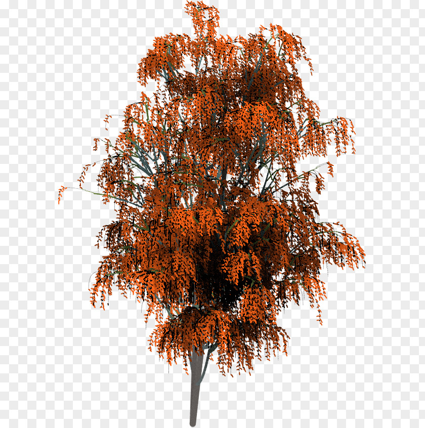 3d Shading Pattern Twig Brush Tree Painting Project Dogwaffle PNG