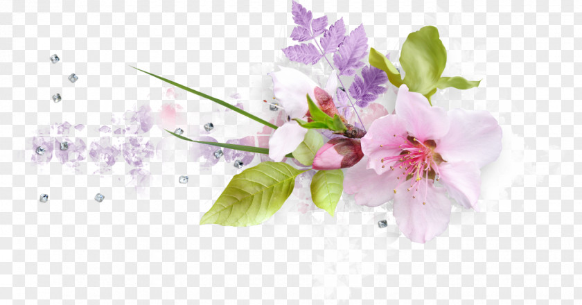 Flower Floral Design Art Drawing PNG