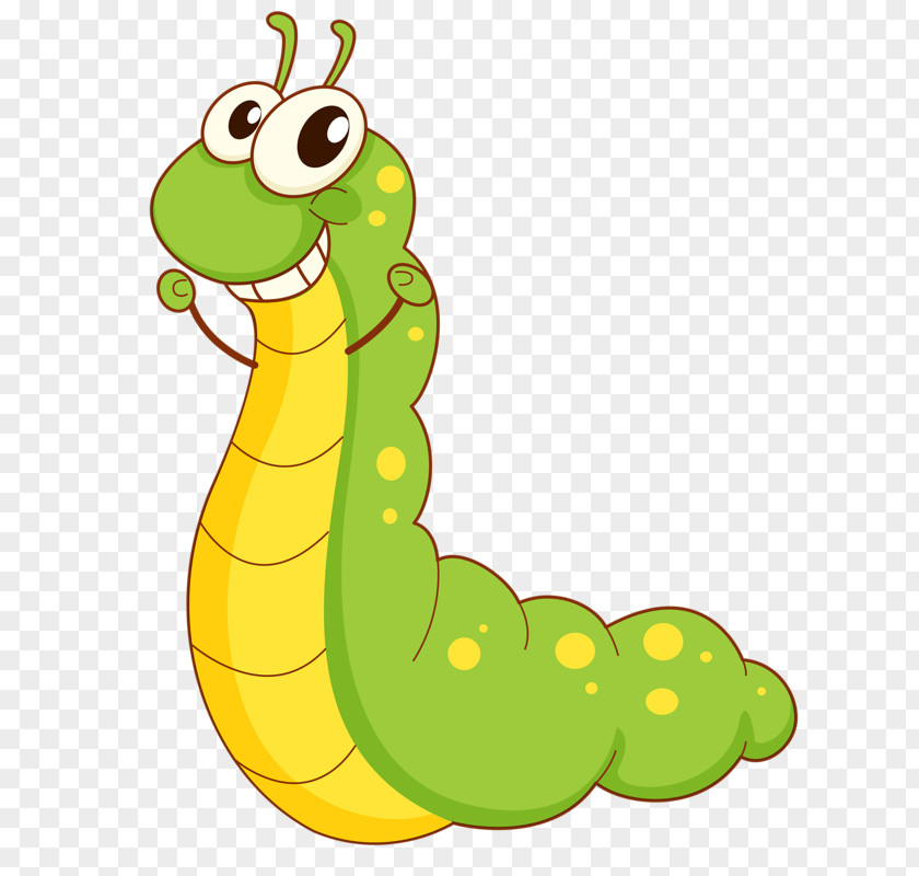 Green Bug Cartoon Caterpillar Drawing Illustration PNG