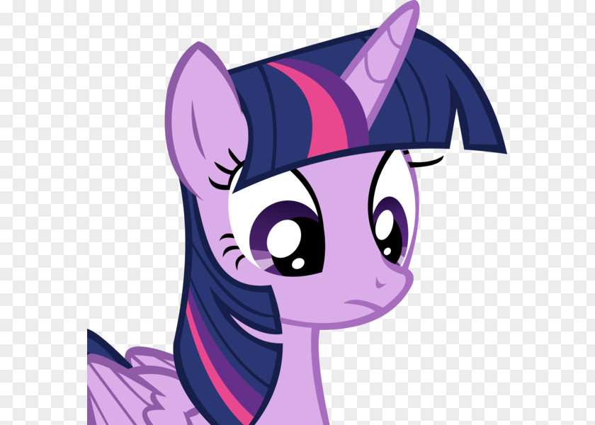 My Little Pony Twilight Sparkle Pinkie Pie Rarity Applejack PNG