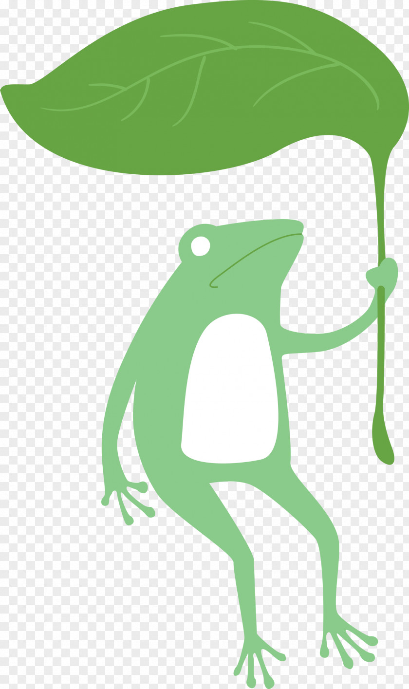 Tree Frog Frogs Meter Leaf Cartoon PNG
