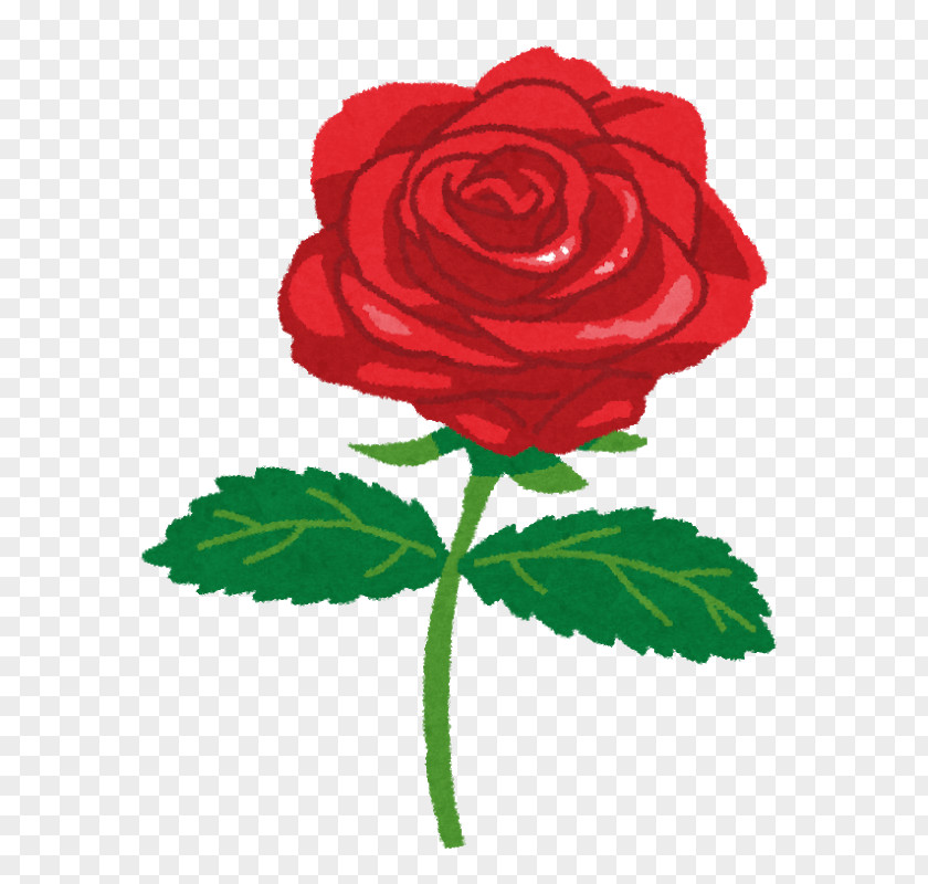 A Rose Stock.xchng Stock Photography IStock Royalty-free PNG