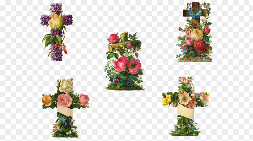 Aster Banner Floral Design Flower Image PNG