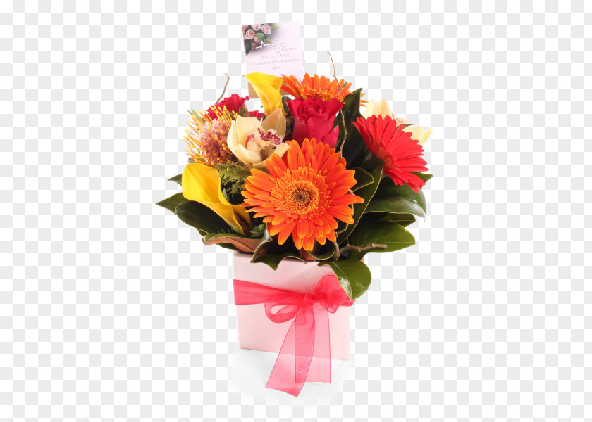 Bright Flowers Transvaal Daisy Floral Design Cut Flower Bouquet PNG