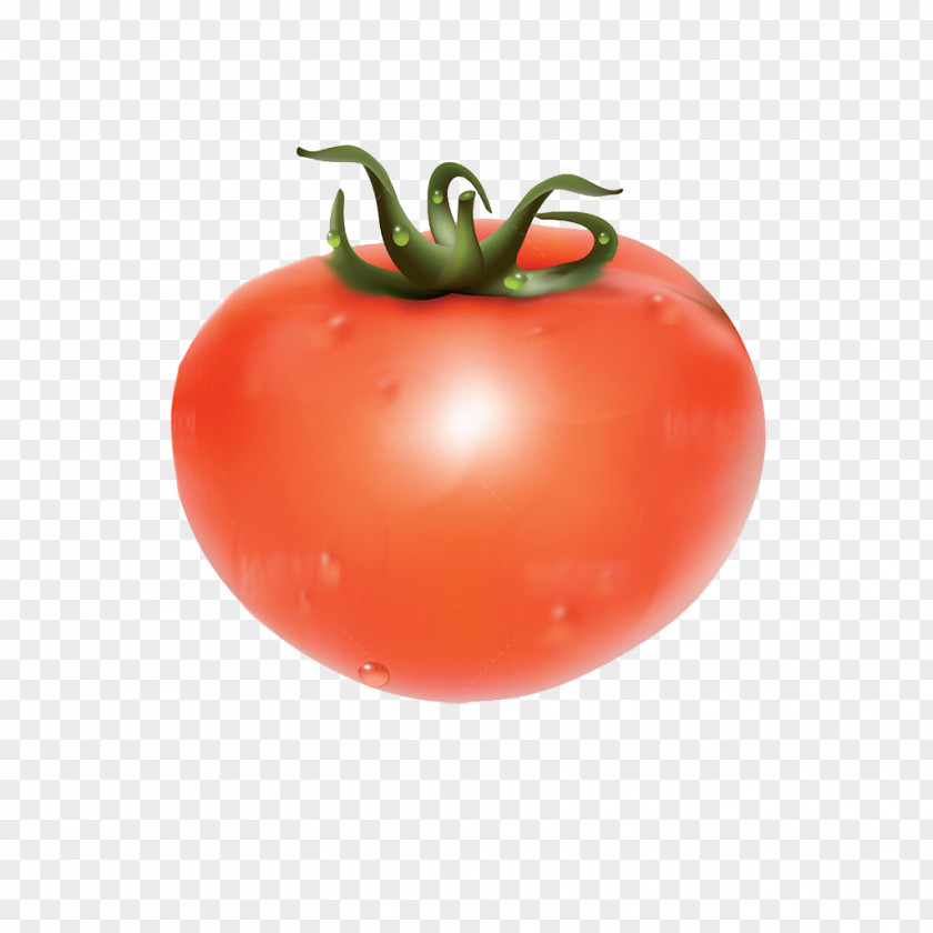 Cartoon Tomato Tomatoes Vegetables Juice Pizza Vegetable PNG