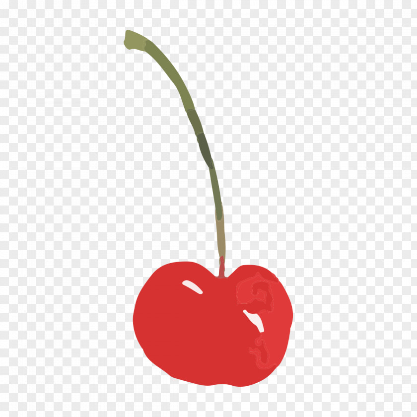 Hand Painted Cherry Drawing Auglis PNG