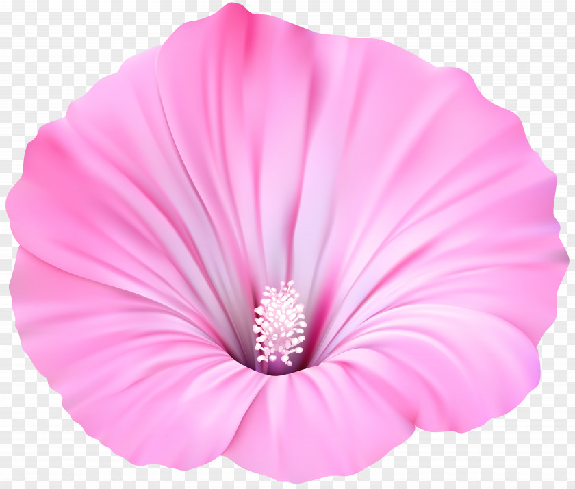 Pink Flower Transparent Clip Art Flowers PNG