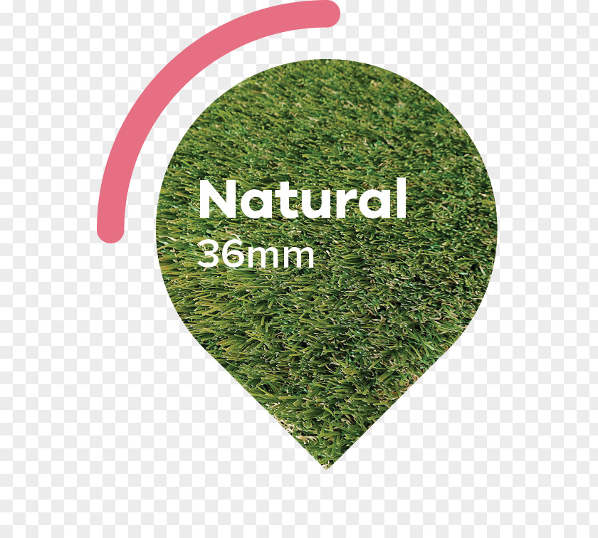 Autumn Meadow Artificial Turf Lawn Sod Garden Landscaping PNG