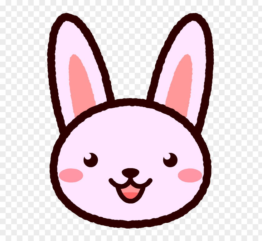 Bunny Face Rabbit Illustration Cat Hare Clip Art PNG