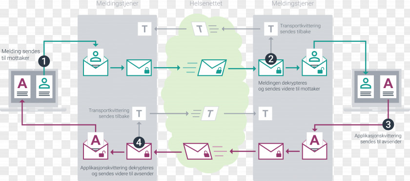 Design Graphic Product Diagram Brand PNG