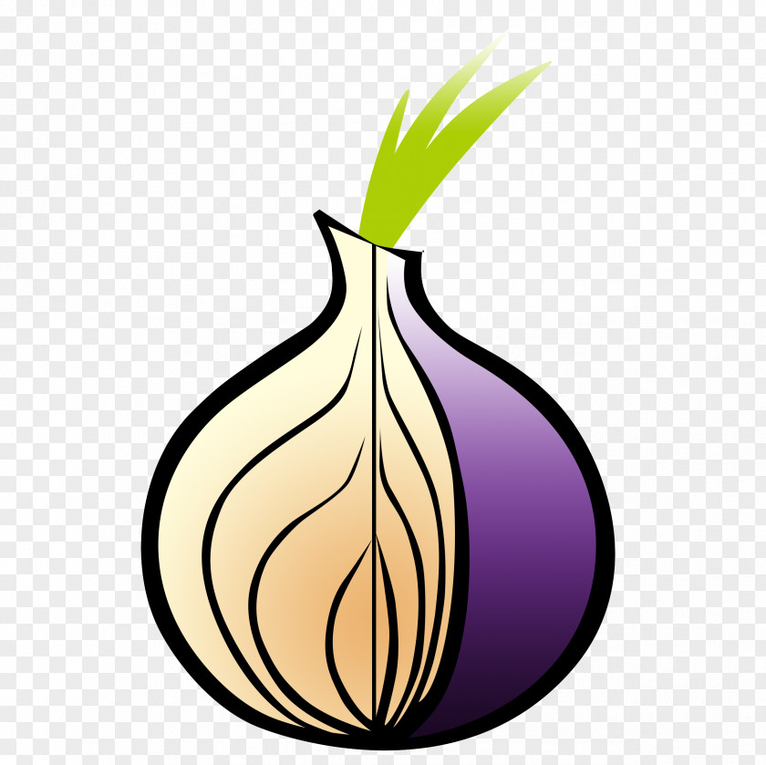 Onion Tor Browser Web .onion Routing PNG