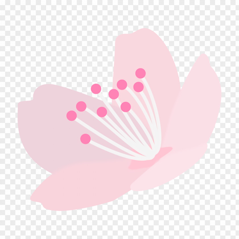 Plant Wing Pink Heart Petal Butterfly PNG