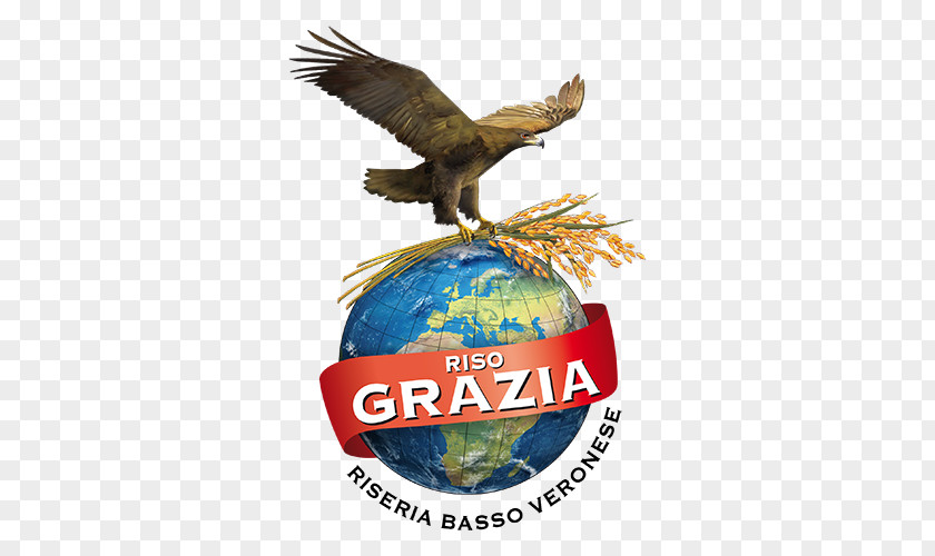 Rice Riseria Del Basso Veronese Grazia Vialone Nano Logo Brand PNG