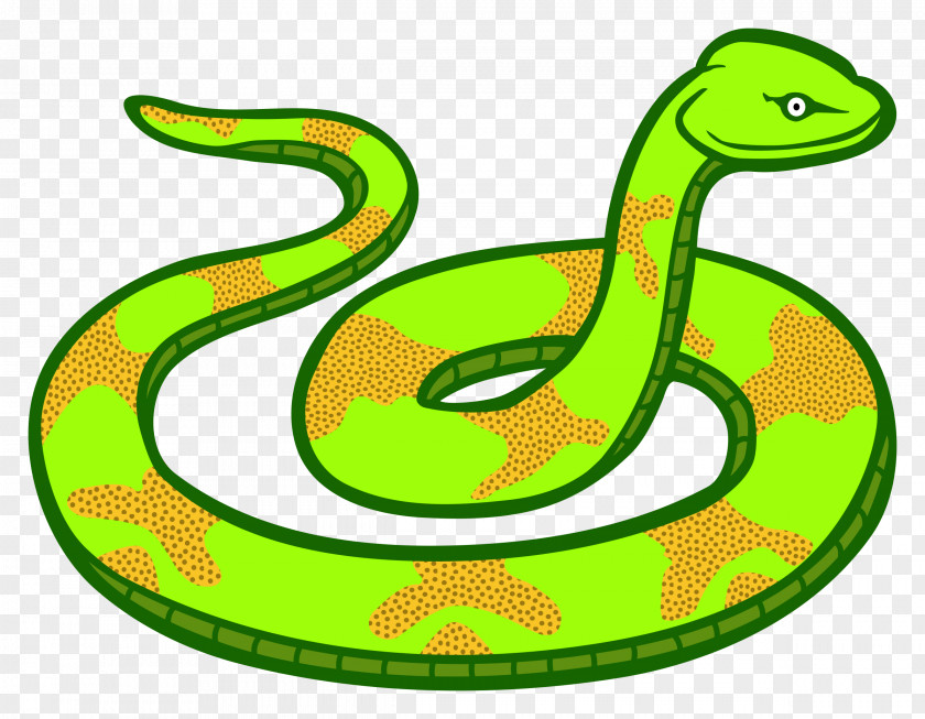 Snake Vector Vipers Clip Art PNG