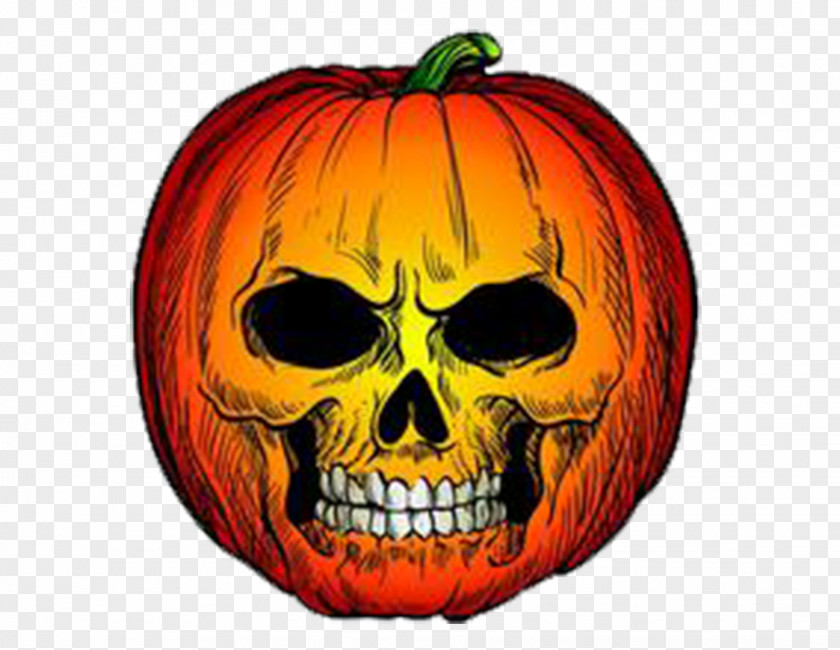 Pumpkin Skeleton Halloween Clip Art PNG