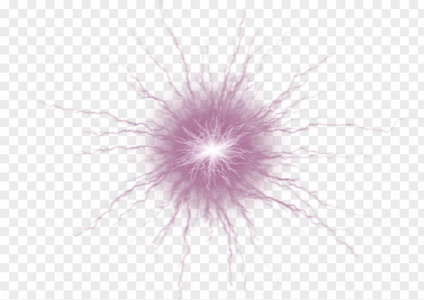 Purple Bright Light Effect Element Close-up Sky Petal Computer Wallpaper PNG