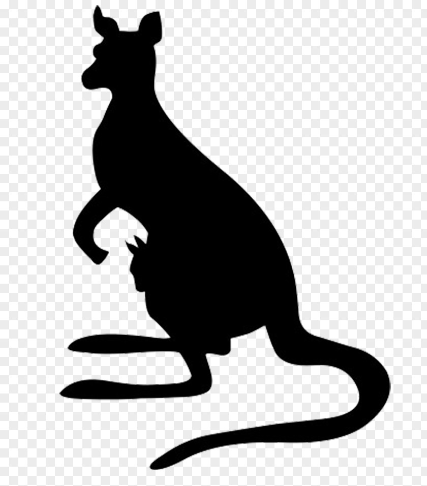 Baby Kangaroo Images Silhouette Clip Art PNG