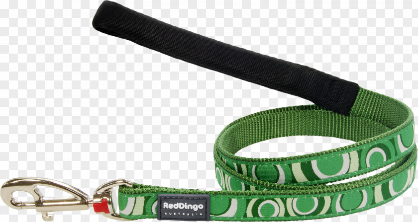 Dog Leash Color Green Game PNG