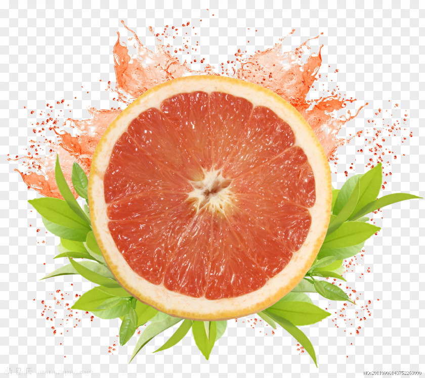 Fruit Grapefruit Juice Lip Balm Cosmetics Gloss PNG