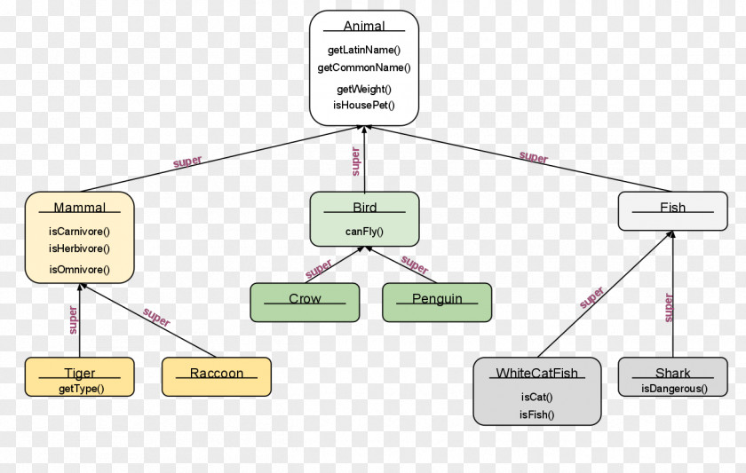 Hierarchy Class Java Inheritance Animal PNG