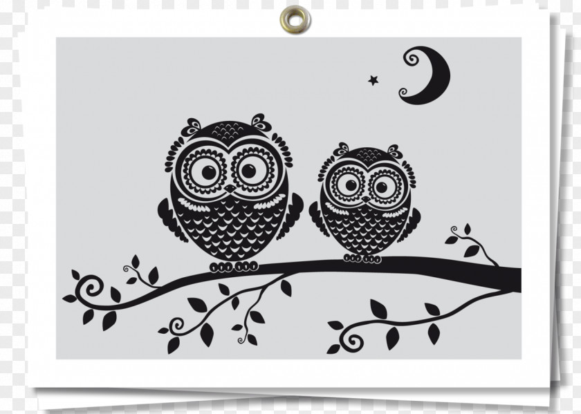 Owls Owl Drawing Black And White PNG