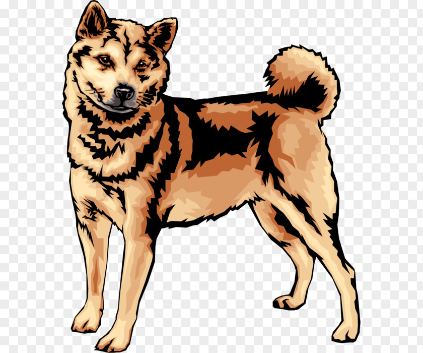 Shiba Inu Czechoslovakian Wolfdog Dog Breed Norwegian Elkhound Shikoku Buhund PNG