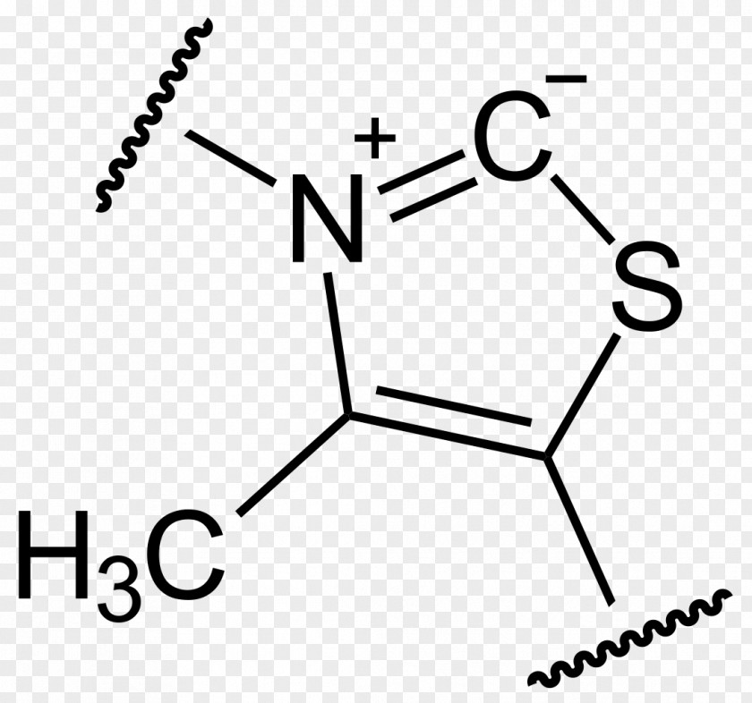 Thiamine Pyrophosphate B Vitamins Dietary Supplement PNG