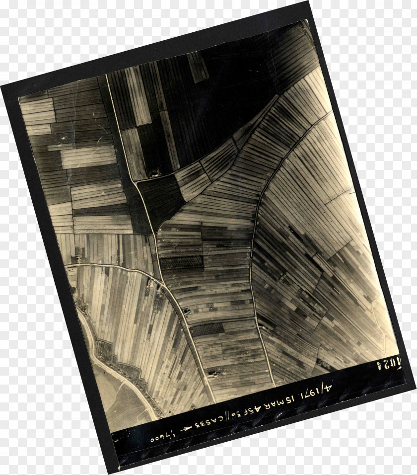 Wood Photographic Paper /m/083vt Photography PNG