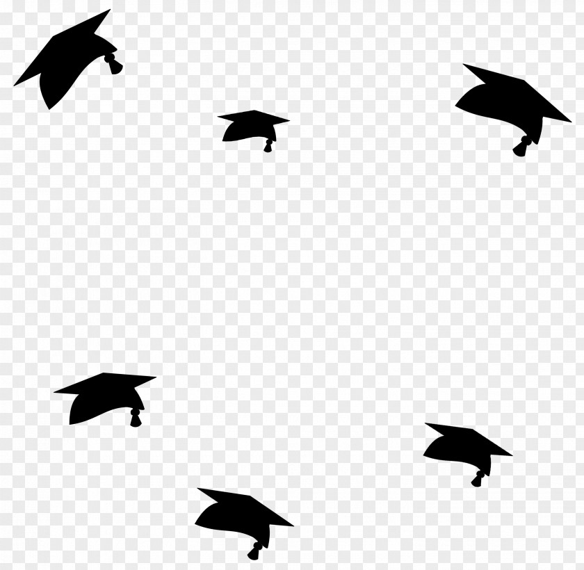 Cheering Grads Graduation Ceremony Diploma College Clip Art PNG