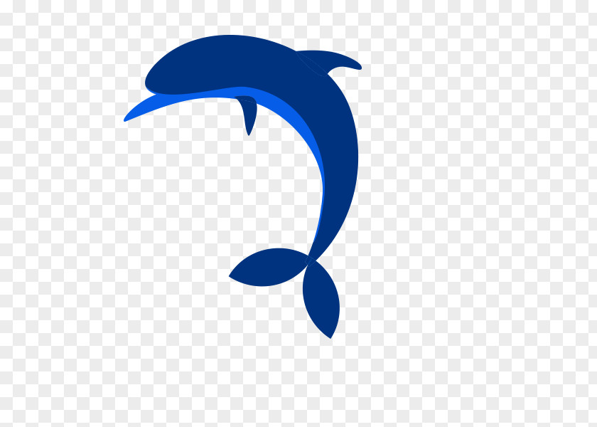Dolphin Aris Jumping Clip Art PNG