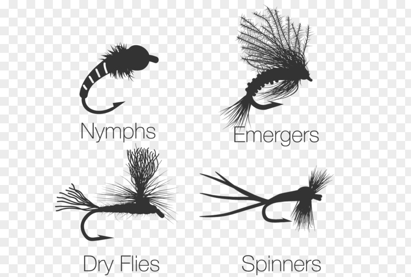 Fishing Dry Fly Tying Trout PNG