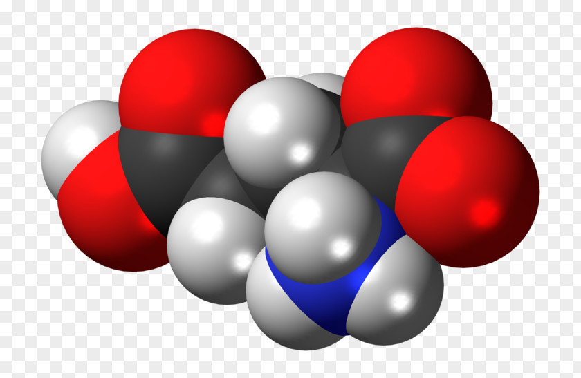 Glutamic Acid Zwitterion Amino Space-filling Model PNG