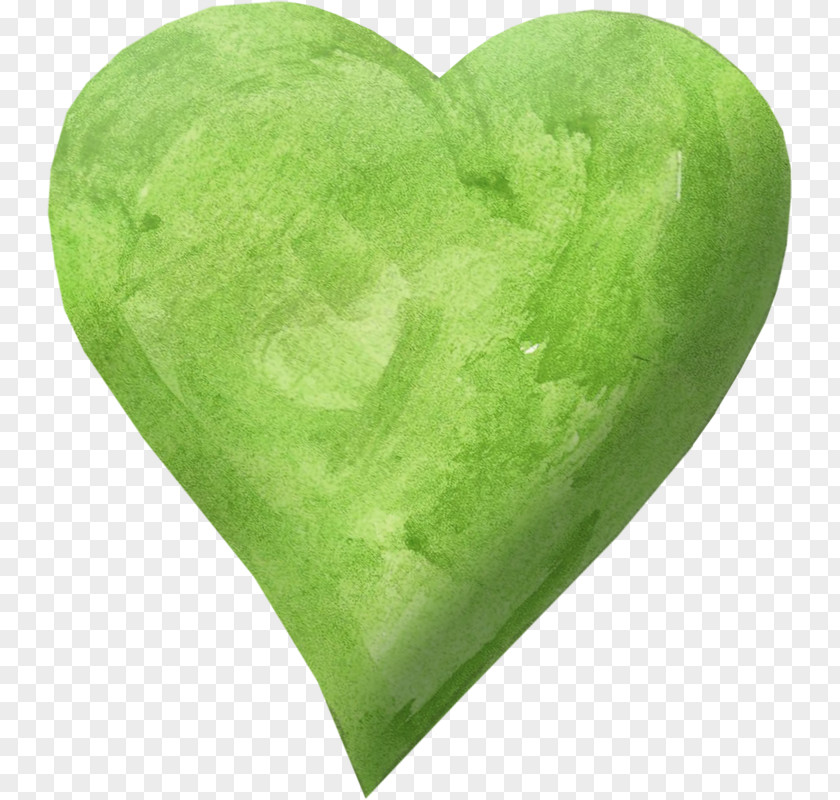 Heart Prophet Water Retention PNG