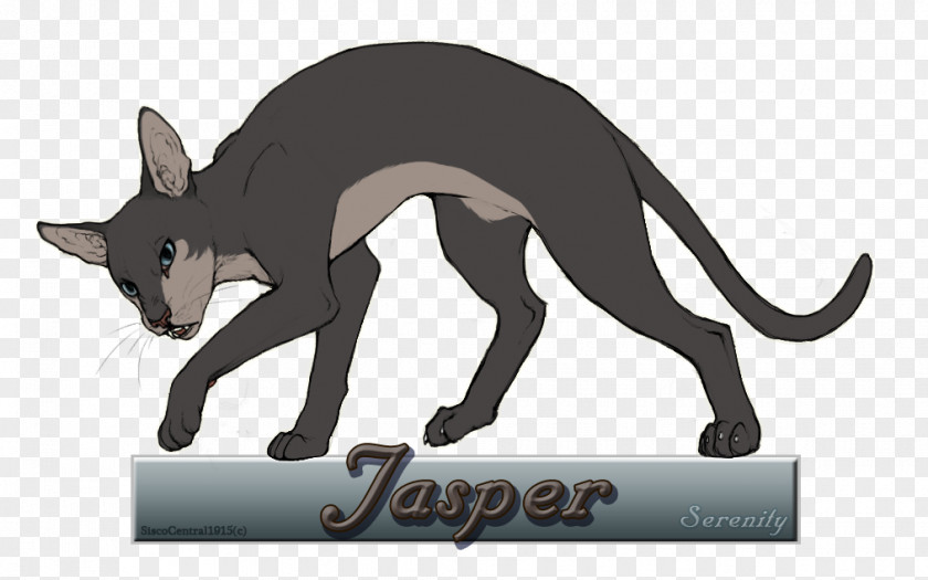 Oriental Shorthair Cat Macropods Mammal Dog Illustration PNG