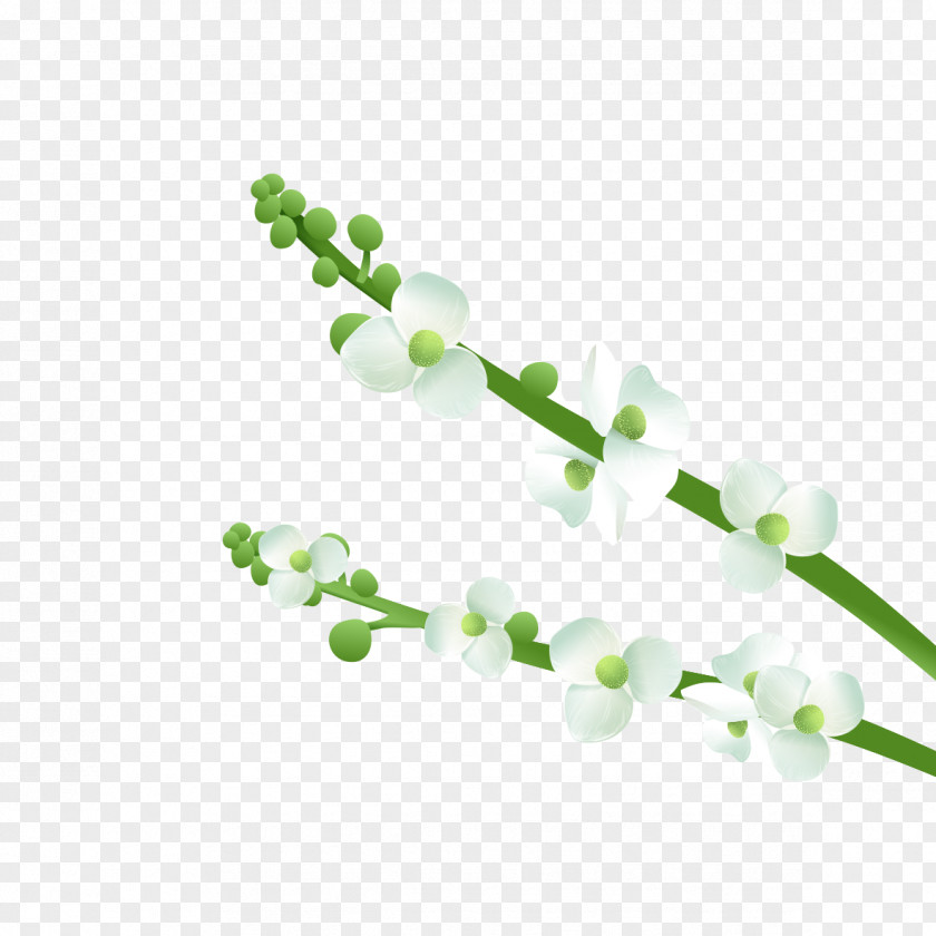 Plant Fresh Flowers Illustration PNG